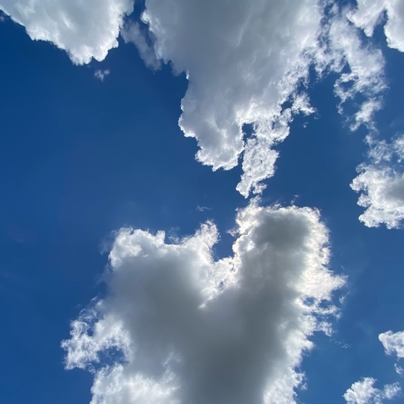 Meet your Posher, Isabel - Picture 1 of 1